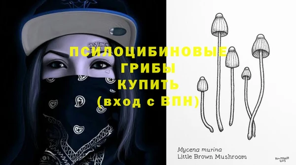 крисы Беломорск