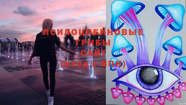 бутират Богданович