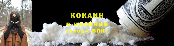 2c-b Богородицк