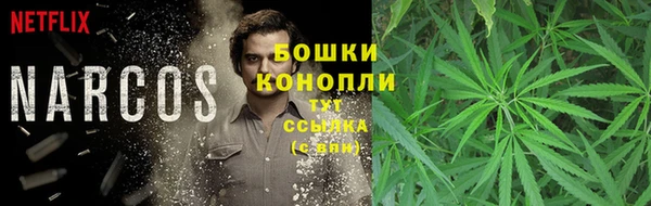 крисы Беломорск